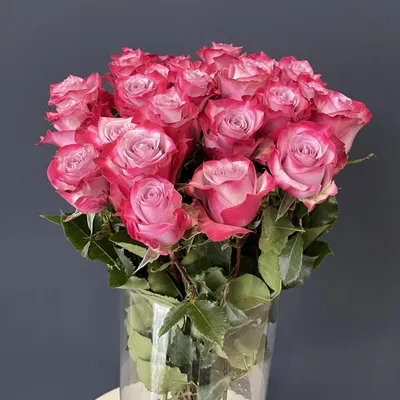 Букет из 25 роз Эквадор (60 см ) за 6990р. Позиция № 2230