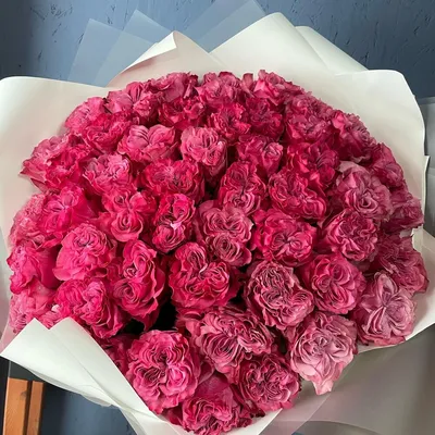 Гортензия, пионовидные кустовые розы сорта Лейс, пионовидная Роза Дэвида  Остина сорта Кейра, белая роза Эквадор, сирень, хамелациум - Красивые цветы  в Тамбове