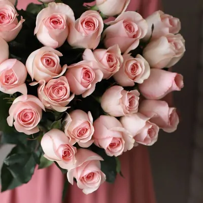 Розы : Букет из 25 роз Эквадор крупного сорта в крафте