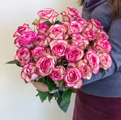 Купить 15 роз сорта хай флейм (эквадор) с доставкой в Санкт-Петербурге