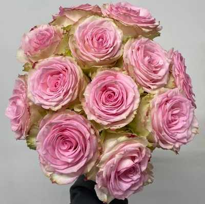 Композиция с вывернутыми розами (Эсперанса) в шляпной коробке - Розы -  Каталог - CvetBazzar39.ru