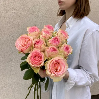 Купить розы Вайлд Эсперанса в СПб ✿ Оптовая цветочная компания СПУТНИК
