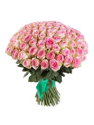 Купить 25 роз Эсперанса в СПб - Купить розы дёшево Эквадор 80 руб. Доставка  роз СПб 🌹SPBROSA