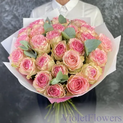 Букет из Голландских кремово-розовых роз, сорт Эсперанс | купить  голландские розовые розы