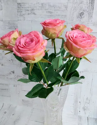 Роза \"Эсперанс\" - доставка свежих цветов и букетов по Екатеринбургу