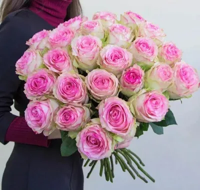 Купить 25 роз Эсперанса в СПб - Купить розы дёшево Эквадор 80 руб. Доставка  роз СПб 🌹SPBROSA