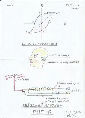 Дома престарелых: забота или предательство?