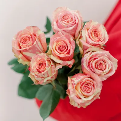 Купить Кустовые розы \"Фиеста\" в Москве недорого. Быстрая доставка по москве  и области