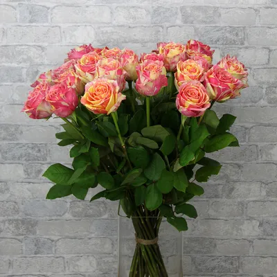 4u.am | Розы «Fiesta» розовые 51 шт, 80 см Baghramyan Varder