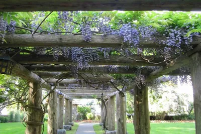 Home Page - Filberg Heritage Lodge and Park