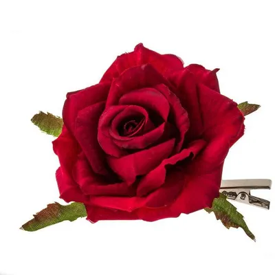 Heirloom Roses Pink Rose Plant - Flamenco Rosita Shrub Rose Bush -  Walmart.com