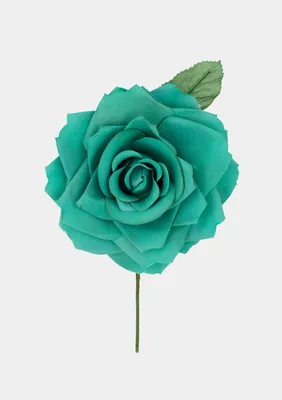 Roses in Bloom – Hedgerow Rose®