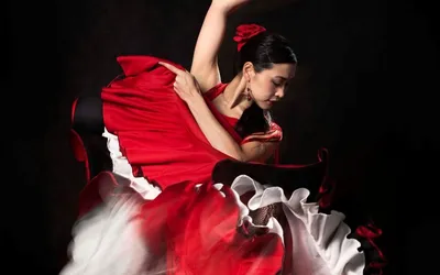 Роза срезочная испанский танец Фламенко Spanish Dancer (MEIflamenc) -  «Очарование или разочарование? Meilland - Испанские страсти на моей клумбе.  » | отзывы