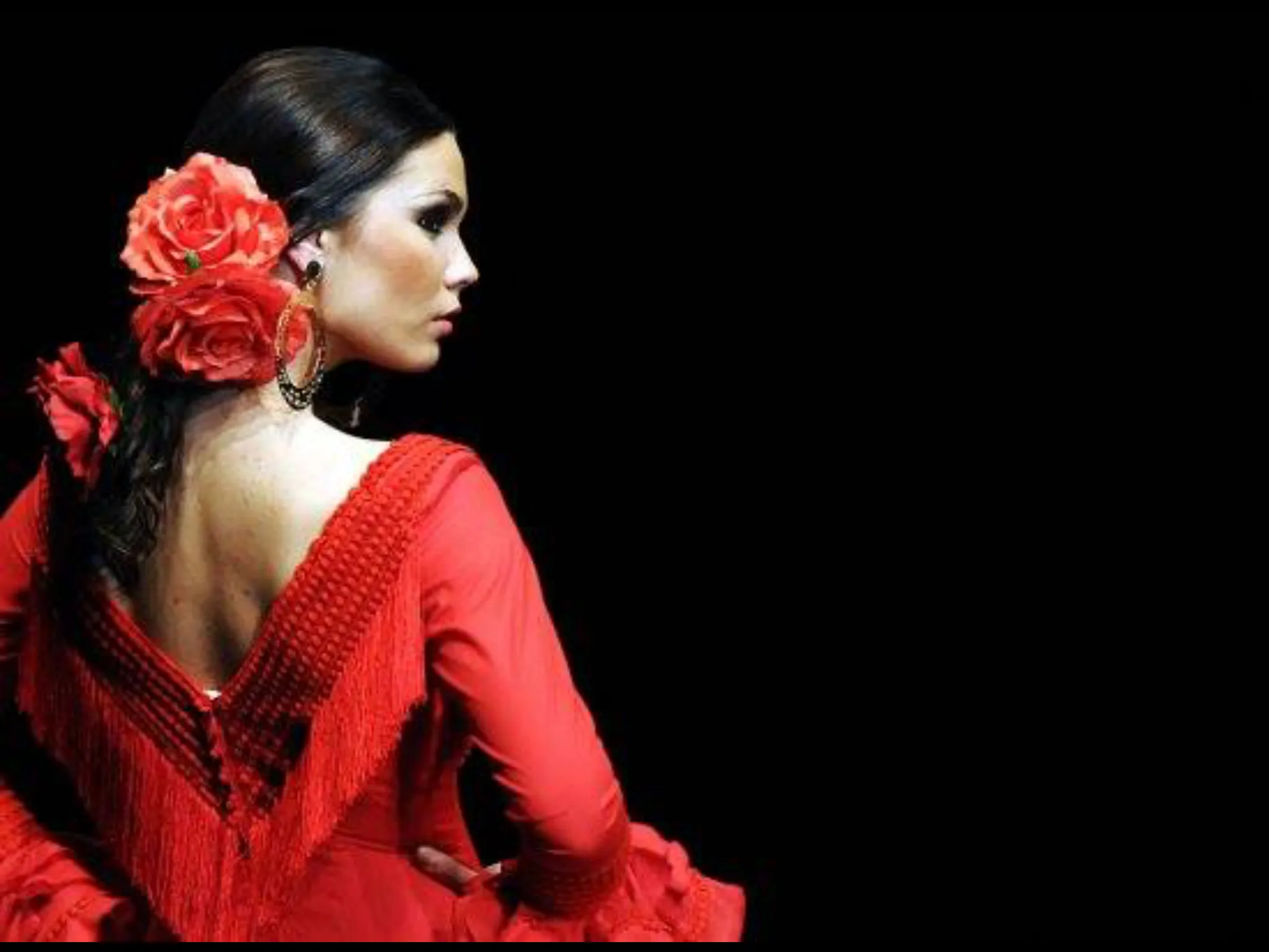 Flamenco roses