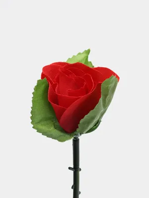 Роза фокус на бутон реалистично съ…» — создано в Шедевруме