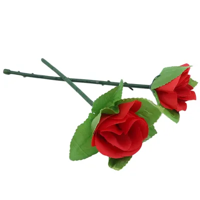 Роза Hocus Pocus (Фокус Покус) – купить саженцы роз в питомнике в Москве