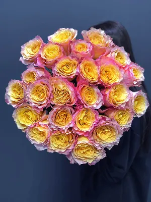 75 огненная роза Фри Спирит купить недорого | доставка по Москве и области  | Roza4u.ru