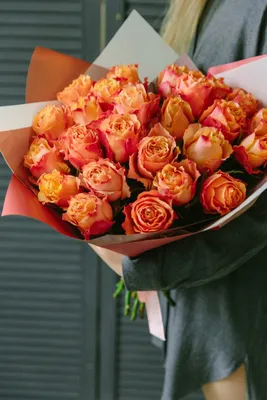 ▷ Rosa Free Spirit Ecuador - Fincas de rosas