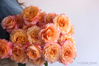 Orange Free Spirit Roses | DIY Wedding Flowers | Flower Moxie