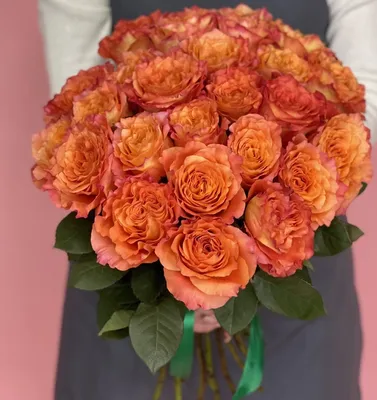 One Dozen Free Spirit Rose Symphony Lilybee Flowers - New Holstein, WI  Florist | Best Local Flower Shop