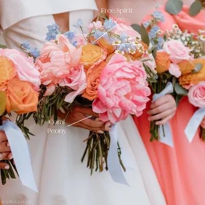 White Hydrangeas and Coral Free Spirit Rose bouquets | Wedding flowers, Rose  bouquet, Bouquet