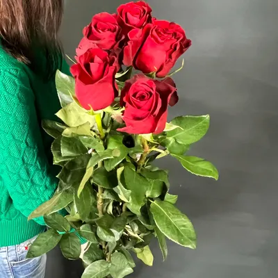 Роза \"Фридом\" (Эквадор) (Премиум) с доставкой в Новороссийске в интернет  магазине цветов Роз Новоросс