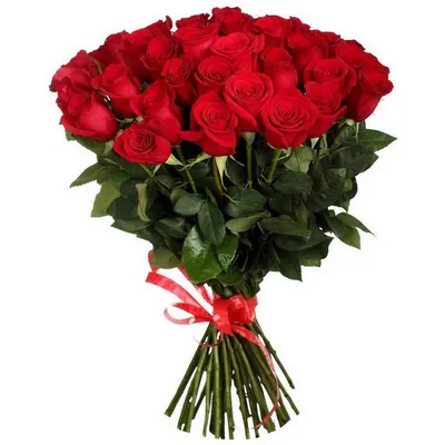 Роза Freedom (Фридом) – купить саженцы роз в питомнике в Москве