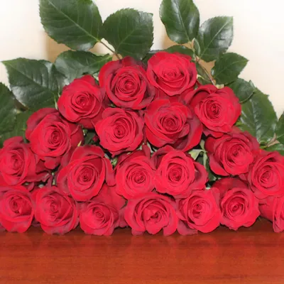 Red Freedom Roses | Bulk Fresh DIY Wedding Flowers | Flower Moxie