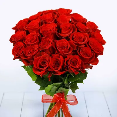 Red Rose Freedom (Stem Length 40cm) | Upstate Flower Market