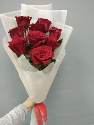 101 красная Голландская роза Фридом: купить 101 красная Голландская роза  Фридом с доставкой по Киеву и области | Golden Flora