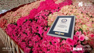 Saudi's Taif Rose Festival breaks Guinness World Record - The Filipino Times