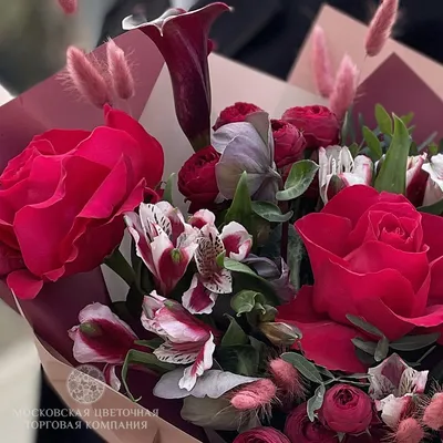 Купить Гвоздика и роза ”Гипноз” в Новокузнецке с доставкой