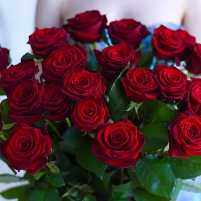 21 красная роза Гран При 70 см - заказать и купить цветы с доставкой |  Donpion