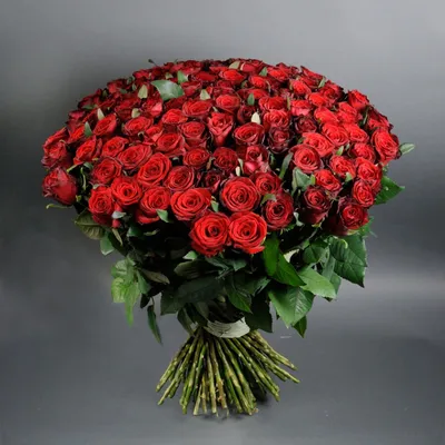 101 красная роза Гран При 80 см