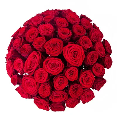 Букет из 51 розы Гран При купить по цене 3569 грн | Украфлора