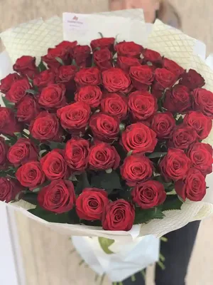 Купить букет 51 роза Гран При | VIAFLOR