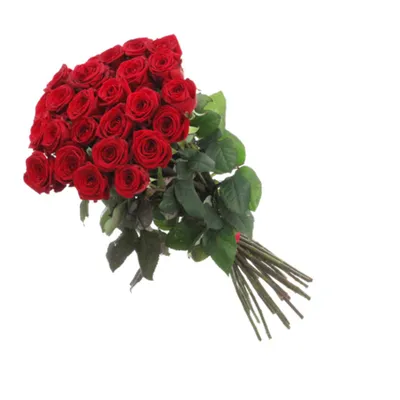 Букет 101 красная роза - Green Rose