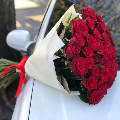 51 красная роза Гран При 70 см - заказать с доставкой по Украине