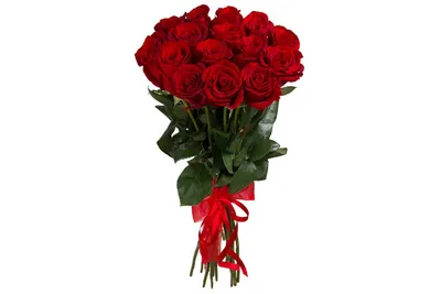 51 красная роза Гран При 80 см - заказать с доставкой по Украине