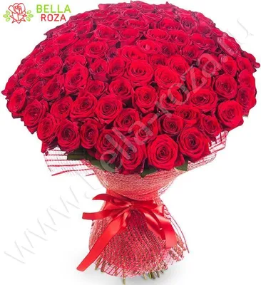 Купить 51 красную розу Гран При 80 см - pandafl.com.ua