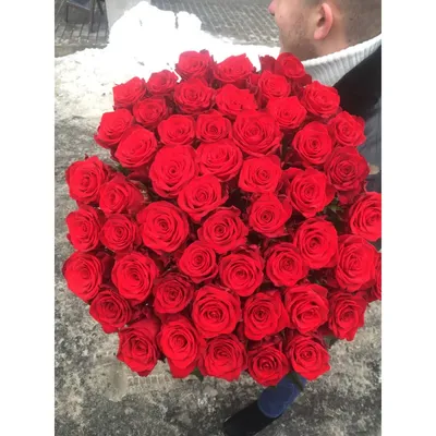 Букет 101 красная роза Гран При, 60 см - заказать и купить цветы с  доставкой | Donpion