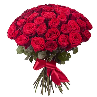 Заказать роза гран при FL-704 купить - хорошая цена на роза гран при с  доставкой - FLORAN.com.ua