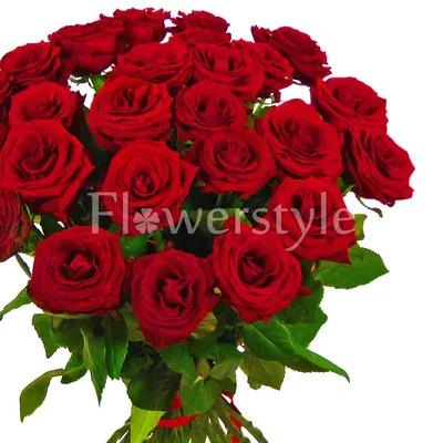 Огромный букет из 201 красной розы! | Flowerkiss