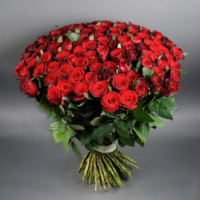 Букет 101 роза Гран При Россия Гаэль — купить в Екатеринбурге