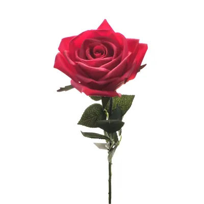 Букет из 31 красной розы Гран При - FloriCrystal