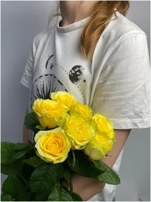 Купить розы Илиос оптом по лучшим ценам в Москве - Ступинский тепличный  комбинат Мосроза