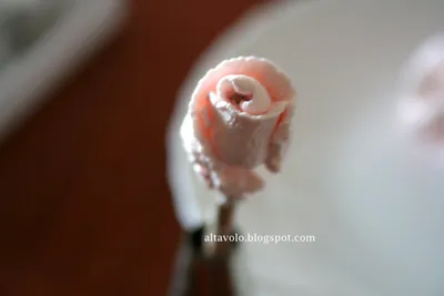 Пошаговое фото изготовления роз и листочков из крема.