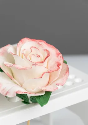 Роза из мастики фото фотографии
