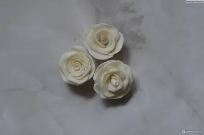 Парфэ Декор Мастика сахарная - «Сахарная мастика Парфэ - самый креативный  способ оформления праздничных тортов! Лепим белые розы» | отзывы