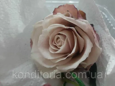 Роза из мастики (1 шт) (ID#1449909280), цена: 180 ₴, купить на Prom.ua